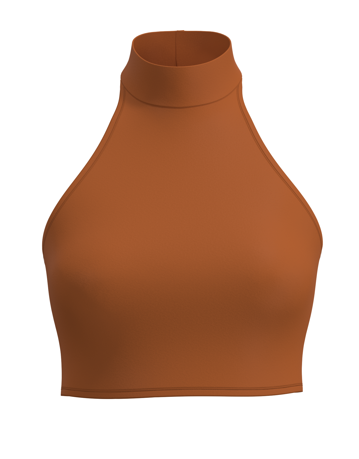 Mock Neck Halter Crop Top