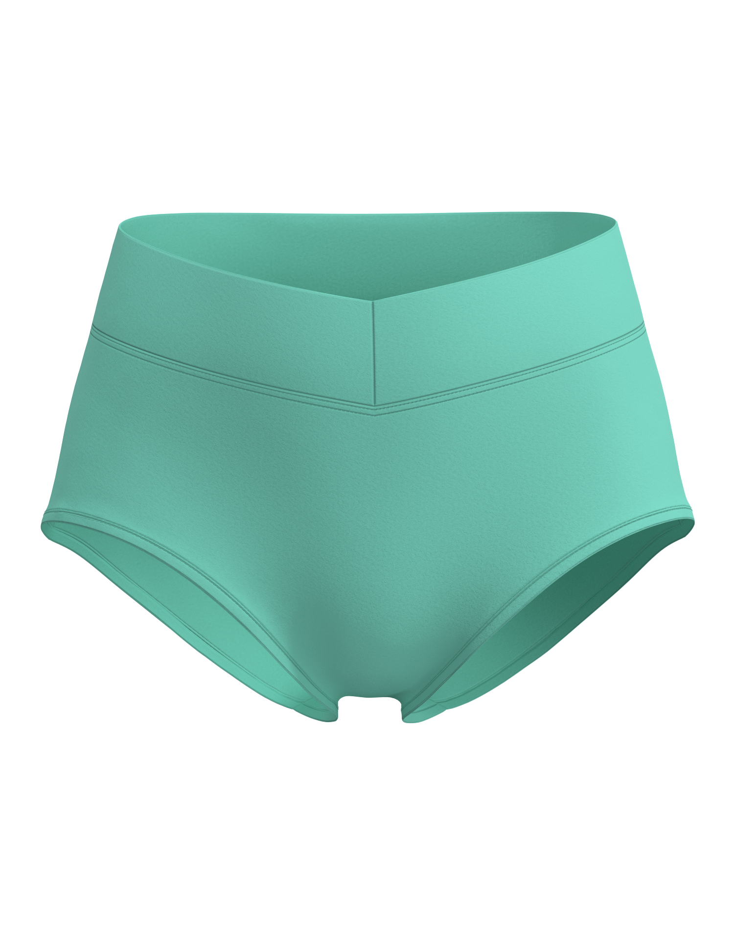 Wide Waistband Brief